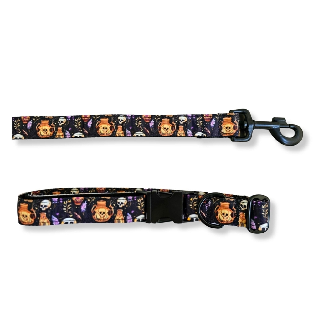 Skulls And Potions Nylon 6ft Dog Leash With Traffic Handle- Halloween Dog Leash
